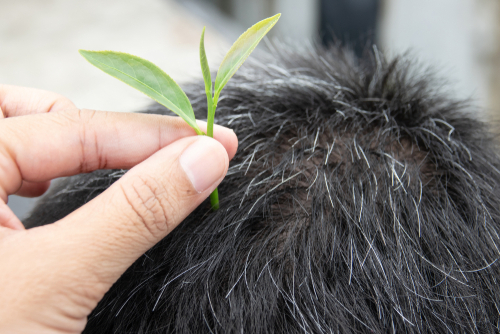 How Fast Does Our Hair Grow?